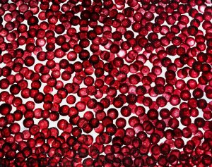 nahoishii-painting-INSIDE-OUR-FESTIVAL-07-2000