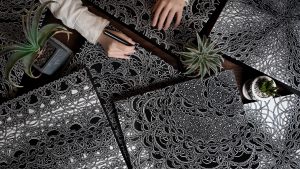 nahoishii_biologicaldrawingsbanner (1)